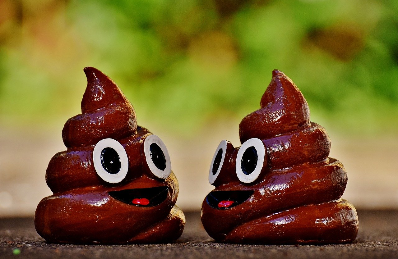 Quelle est la signification d'un caca vert